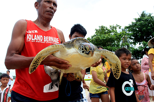 CATCH AND FREE. Pamocino Florino, 55, a local fisherman of an island village of Danawan in Surigao City caught a sea turtle and a baby shark while fishing on the waters. These endangered species were released back on the waters yesterday afternoon (April 21, 2013). Mindanews Photo by Roel N. Catoto