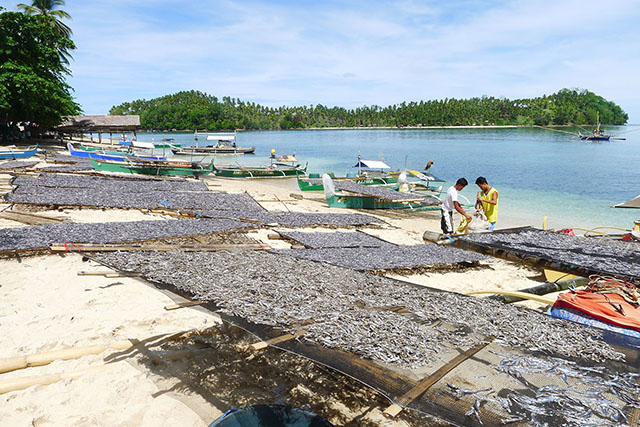 BOUNTY OF THE SEA. Dilis or anchovies are left to dry under the sun in Purok Mangga, Barangay Paril in Kalamansig, Sultan Kudarat. Balut Island beckons at the background. MindaNews photo by Bong S. Sarmiento