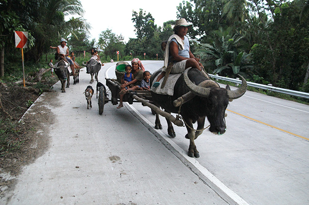 No, they are members of the Salazar family on their way home to Barangay Bagolibas in Aleosan, North Cotabato after a day in their farm in Barangay Pagangan. MIndanews Photo by Keith Bacongco