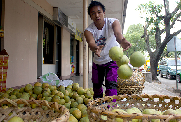 A vendor sorts pomelo according to sizes in his stall along Roxas Avenue in Davao City on October 1, 2013. Pomelo costs between 50 to 60 pesos a kilo. MindaNews photo by Toto Lozano