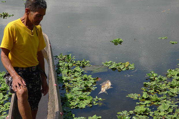 Rudy Muyco, the lake warden, laments the fish kill that recently hit Lake Sebu on Sunday, October 20, 2013, in Lake Sebu town, South Cotabato. MindaNews photo by Bong Sarmiento