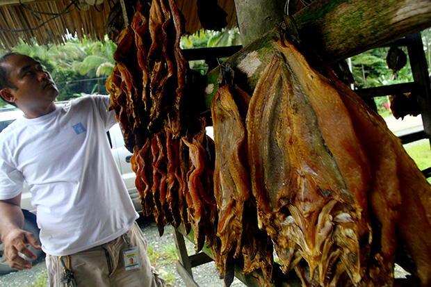 Assorted dried freshwater fish from Agusan Marsh are sold along the national highway in Bunawan, Agusan del Sur. Prices range from P50 to P100 per bunch, depending on the variety. MindaNews Photo by Keith Bacongco