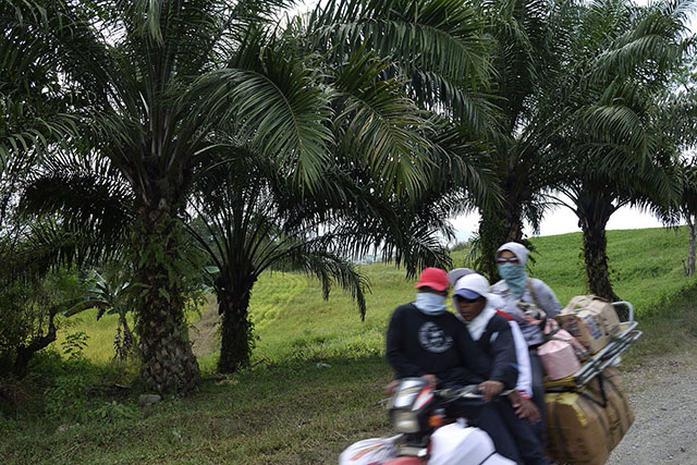 A fully-laden habal-habal speeds past oil palms on February 3 in