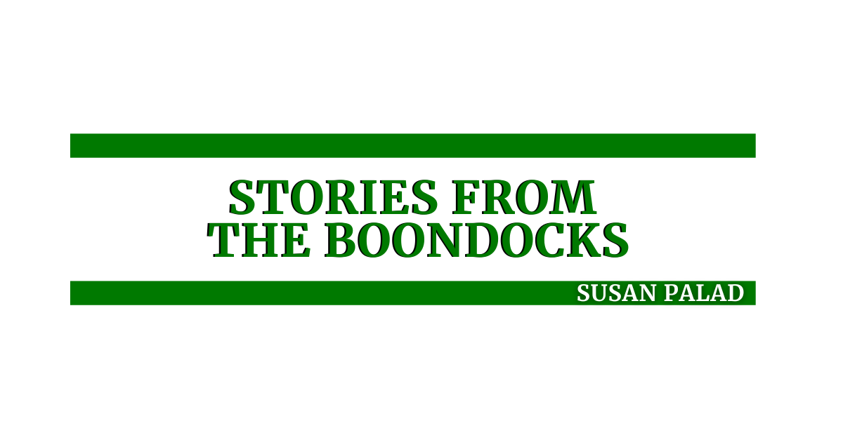 stories from the boondocks susan palad mindaviews